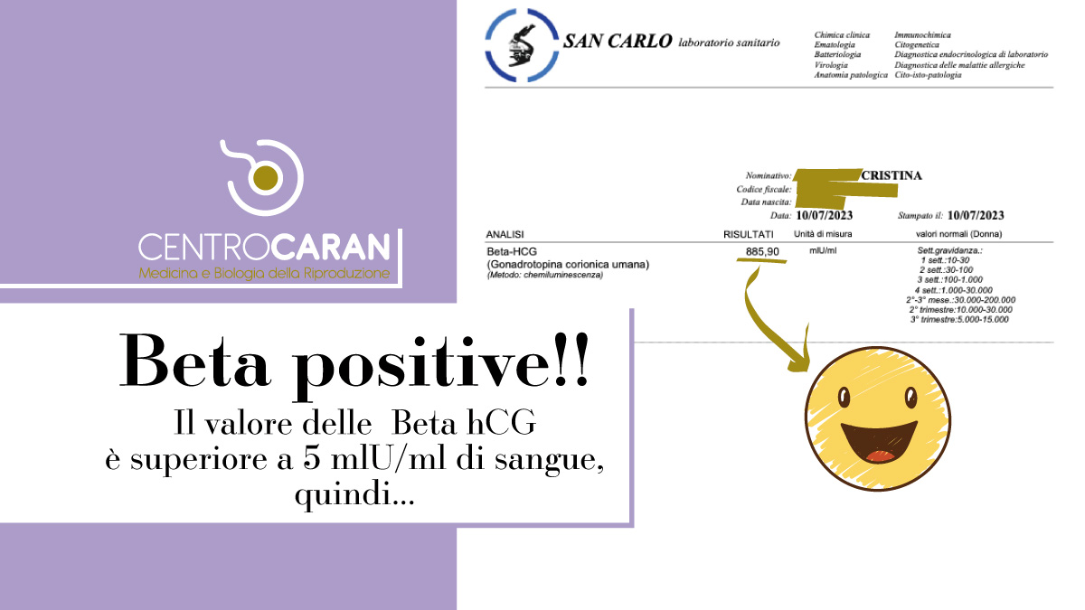 https://www.caran.eu/immagini_news/11-07-2023/1689082805-142-.jpg