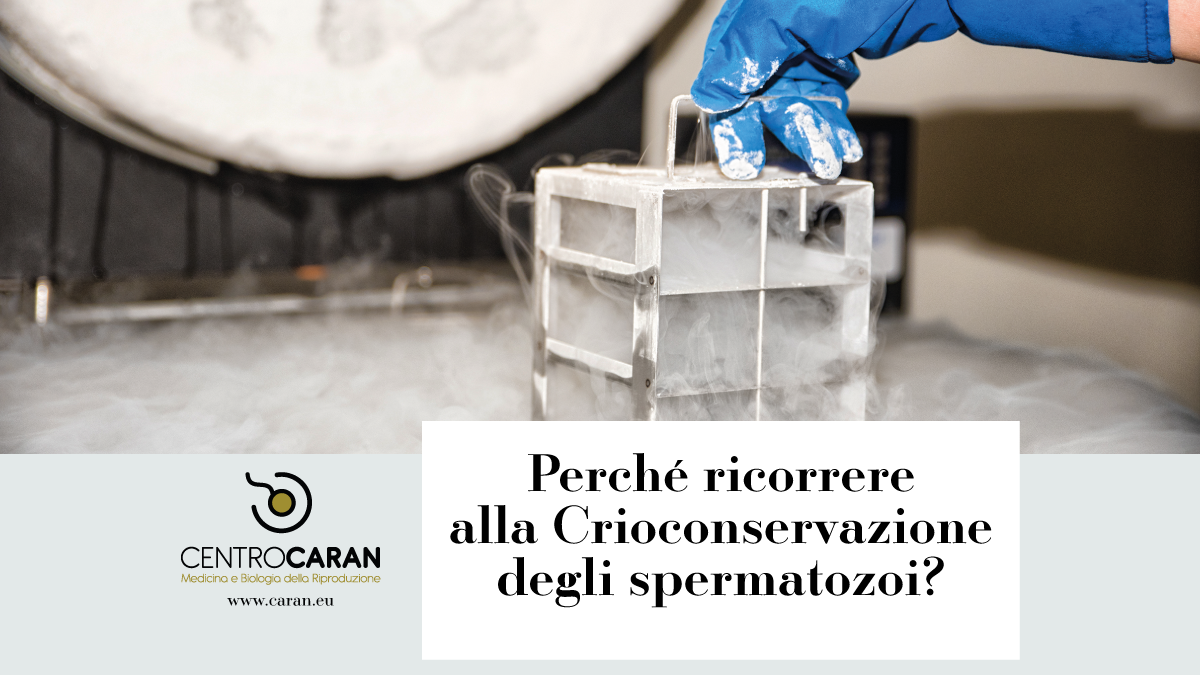 Perché ricorrere alla crioconservazione degli spermatozoi?