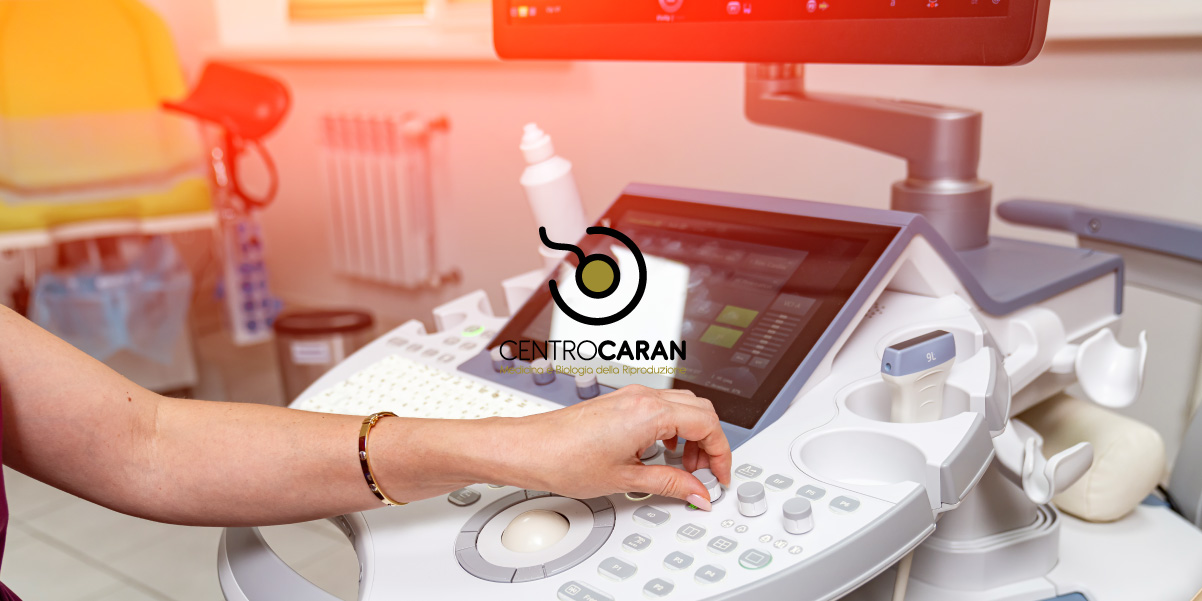 https://www.caran.eu/immagini_pagine/02-01-2024/1704211543-194-.jpg