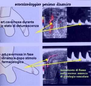 https://www.caran.eu/immagini_pagine/03-03-2017/1488524175-453-.jpg