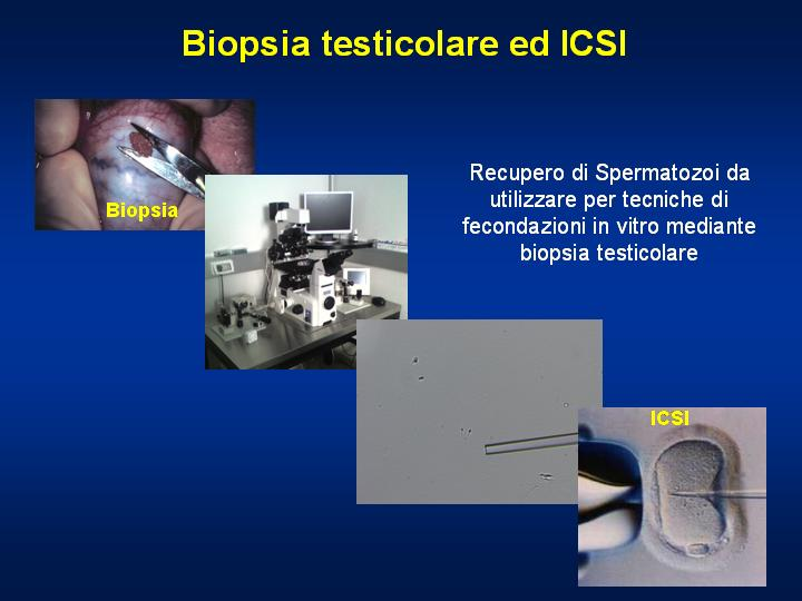 https://www.caran.eu/immagini_pagine/20-02-2017/1487582852-236-.png