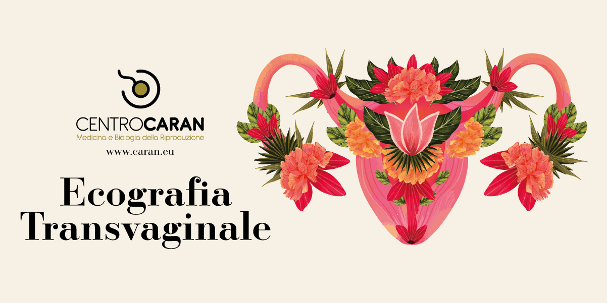 https://www.caran.eu/immagini_pagine/20-09-2023/1695201527-433-.png