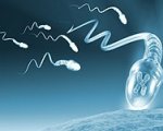 Tunnel test  DNA spermatico