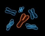 Micro delezione Cromosoma Y